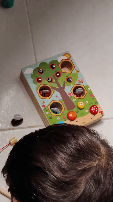 Kit de Estimulación Sensorial 24 meses - 4 años